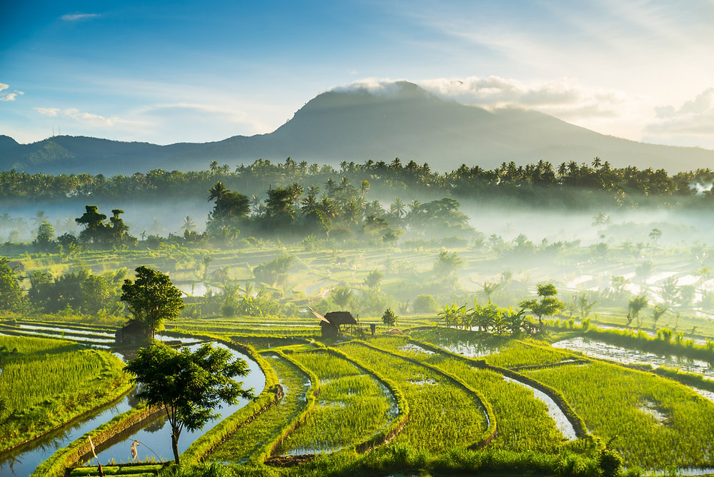 Exploring the World as a Digital Nomad: Top Picks for 2023